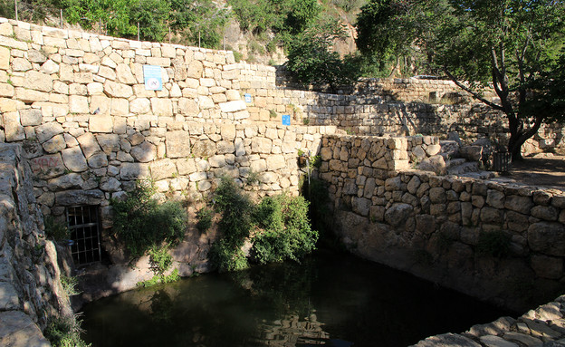 סטף (צילום: יעקב שקולניק, ארכיון הצילומים של קק