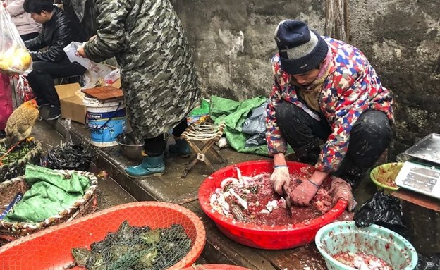 הקץ לסחר בבשר אקזוטי בסין? (צילום: Animal Liberation Worldwide, Facebook)