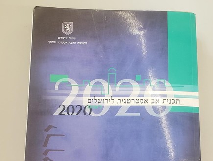 תכנית האב