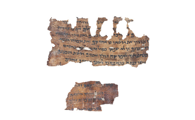 אחד הקלפים ממגילות מדבר יהודה (צילום: שי הלוי, רשות העתיקות)