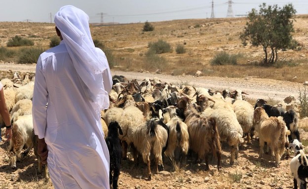 סיור רועים (צילום: רותם אלון גלעדי)