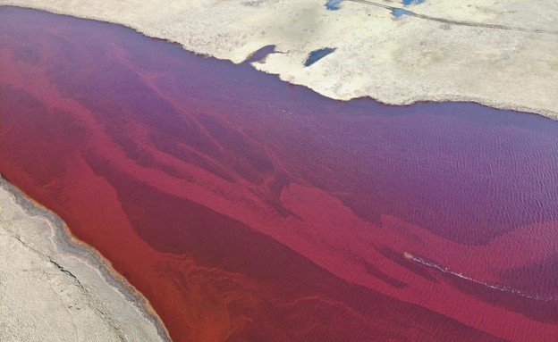 זיהום נפט בנהר ברוסיה‎ (צילום: באדיבות גרינפיס)
