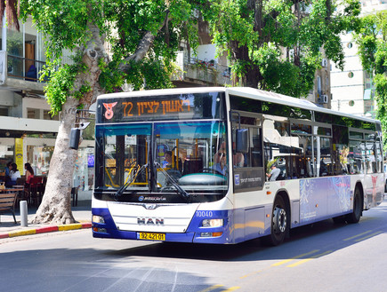 אוטובוס דן (צילום: shutterstock Stanisiav Samoylik) אוטובוס דן (צילום: shutterstock Stanisiav Samoylik)