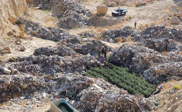 פעילות המשטרה ביישוב ביר הדאג' (צילום: דוברות משטרת ישראל)