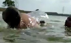 תקיפת תנין (וידאו WMV: יוטיוב )