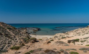 שמורת חוף גדור (צילום: באדיבות רשות הטבע והגנים)