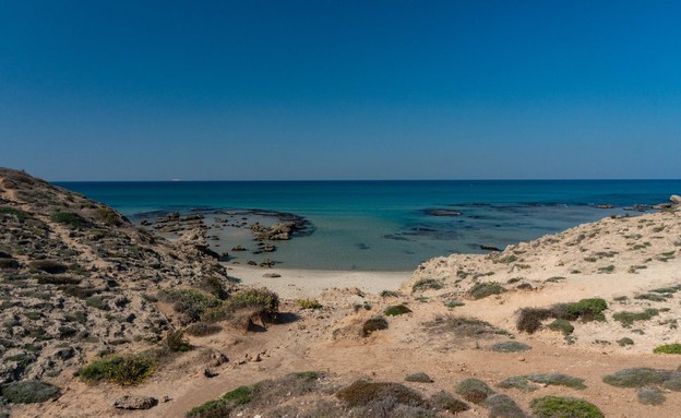 שמורת חוף גדור (צילום: באדיבות רשות הטבע והגנים)