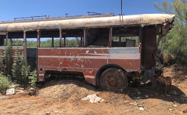 התעללות בבעלי חיים בהרצליה‎ (צילום: דוברות המשטרה)