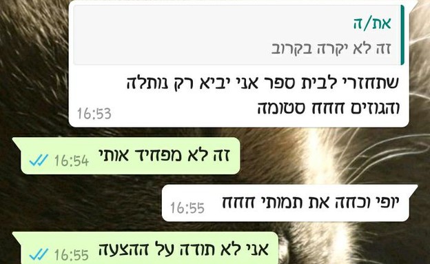 התכתבות בין ילדות בוואטסאפ