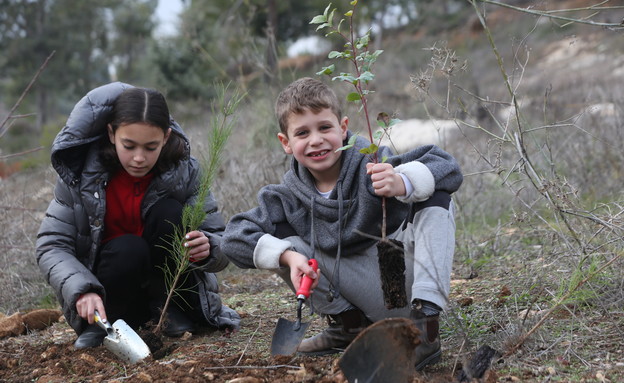 יער עין כרם (צילום: יוסי זמיר)