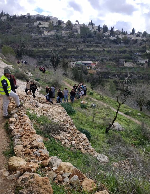 יער עין כרם (צילום: באדיבות עובדי קק"ל)