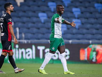 סלליך חוגג עוד שער (מאור אלקסלסי) סלליך חוגג עוד שער (מאור אלקסלסי)