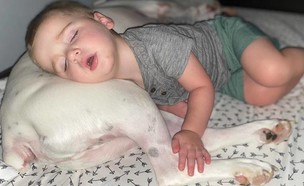 ילד וכלב ישנים (צילום: פייסבוק)