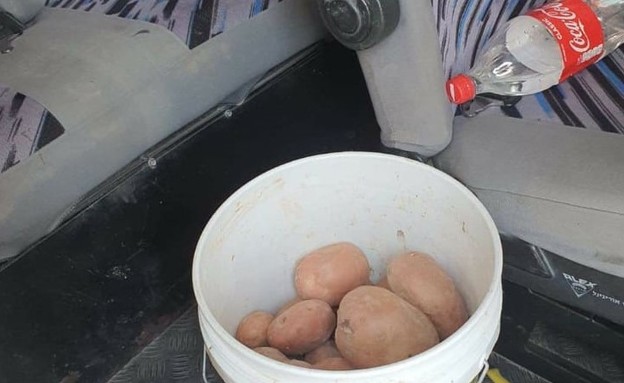 תפוחי אדמה גנובים (צילום: יחסי ציבור, ארגון השומר החדש)