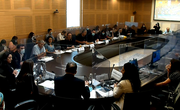 הוועדה המיוחדת לעניין נגיף הקורונה (צילום: ערוץ הכנסת)