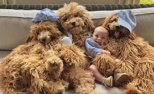 תינוק ושלושה כלבים (צילום: מתוך instagram)