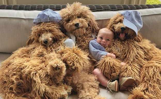 תינוק ושלושה כלבים (צילום: מתוך instagram)