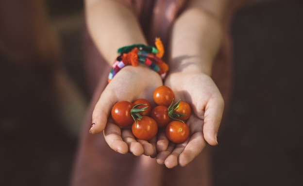 עגבניות (צילום:  Nick Torontali, unsplash)