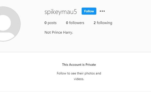 חשבון האינסטגרם הסודי של הארי? (צילום: Instagram)