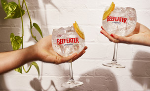 ביפאיטר  (צילום: BEEFEATER GLOBAL BRAND)