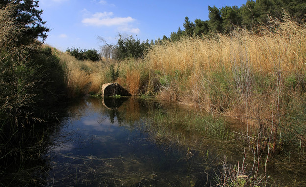 בריכת צנאן (צילום: יעקב שקולניק)