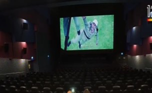 המסך החדש והמשוכלל באולמות הקולנוע (צילום: Next, באדיבות ספורט 1)