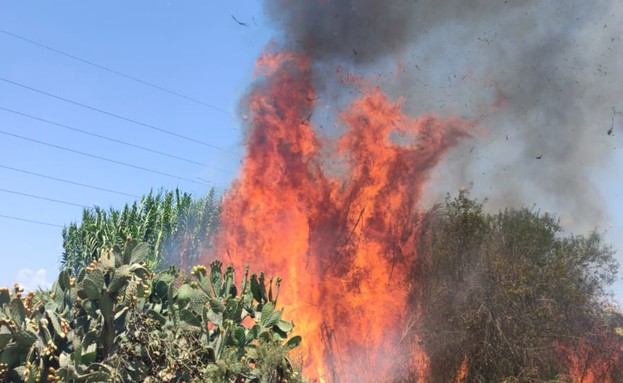 שרפה בשער הנגב בעקבות שיגור בלוני תבערה מעזה (צילום: דוברות שער הנגב)