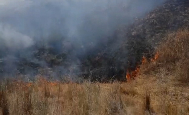 שרפה בבארי (צילום: רשות הטבע והגנים)