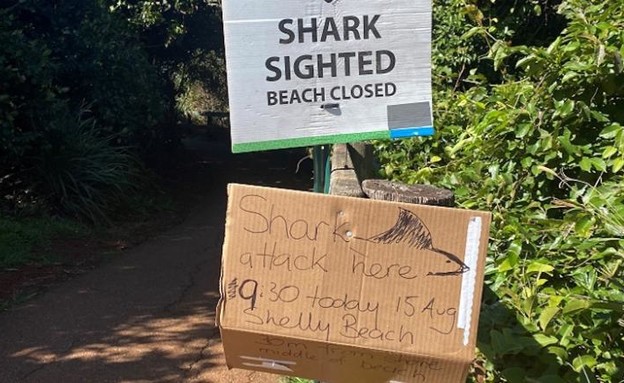 שלט המזהיר מפני כרישים בחוף שנסגר (צילום: Surf Life Saving NSW)