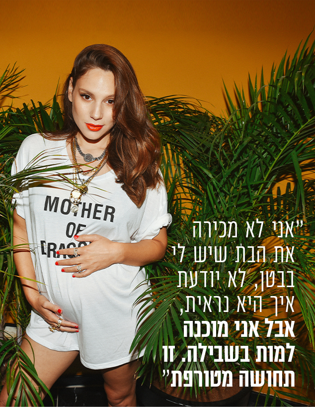 עמית פרקש (צילום: מאיר כהן)