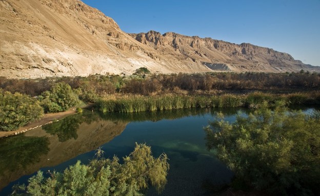 עינות צוקים (צילום: דורון ניסים)