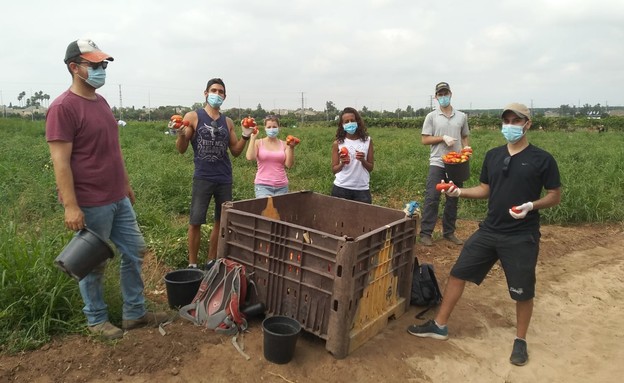 עובדי פייבר בהתנדבות עם "לקט ישראל"  (צילום: באדיבות Fyber)