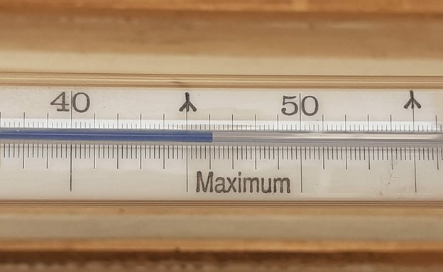 מעל 46 מעלות שנמדדו בקיבוץ גלגל בבקעת הירדן (צילום: אבי סטרומזה)