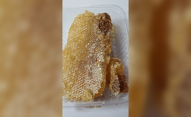 Une ruche a été découverte à l'intérieur d'un mur de maison