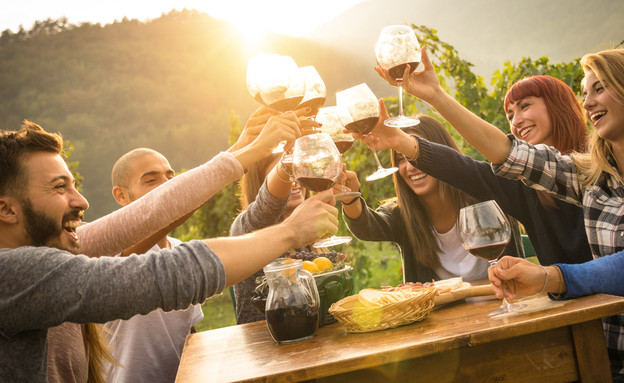 חברים שותים יין (צילום: shutterstock | View Apart)