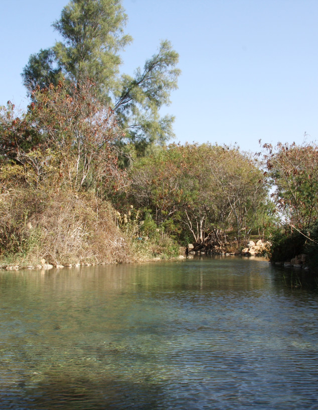 עין שוקק (צילום:  יעקב שקולניק)