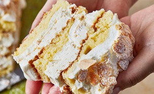 עוגת שכבות של קרין גורן - פרוסה (צילום: סופגי גואטה, מתוק בבית, הוצאת תכלת)