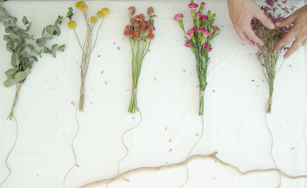 פרחים מיובשים (צילום: נועה קליין)