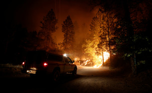 שרפות בקליפורניה (צילום: רויטרס_)