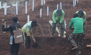 חופרים קברים באינדונזיה (צילום: Kuncoro Widyo Rumpoko/Pacific Press)