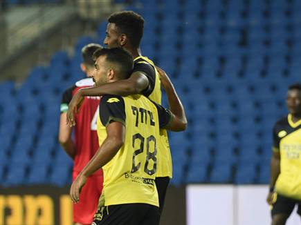 גם שחף הצטרף לחגיגה (ברני ארדוב)