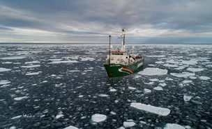 הקוטב הצפוני מתכווץ (צילום: גרינפיס‎)
