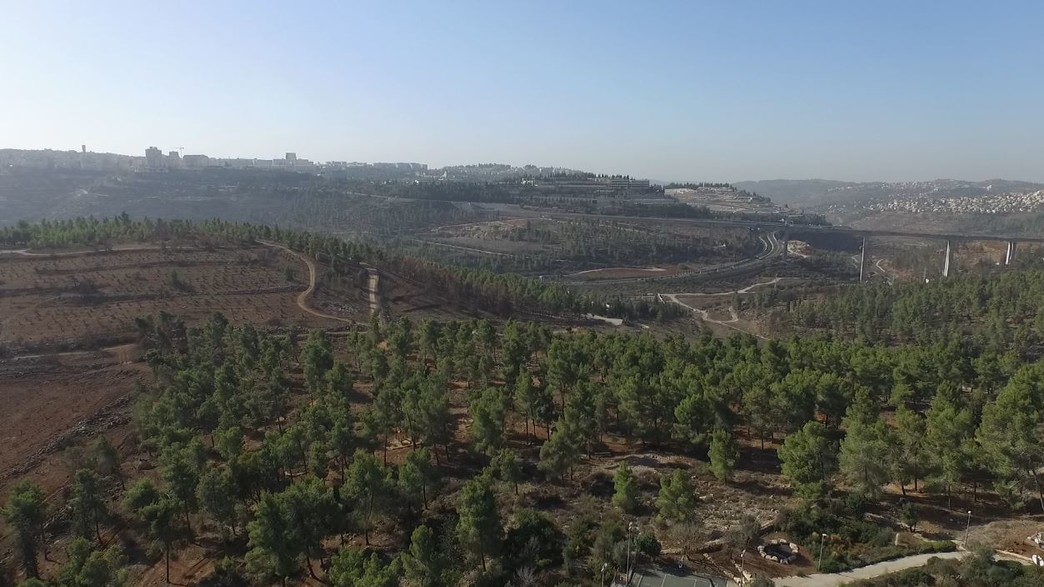 מצפה נפתוח מצפה נפתוח