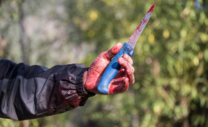 סכין מגואלת בדם (צילום: shutterstock | Hajrudin Hodzic)