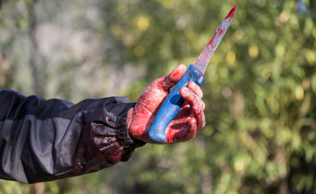 סכין מגואלת בדם (צילום: shutterstock | Hajrudin Hodzic)