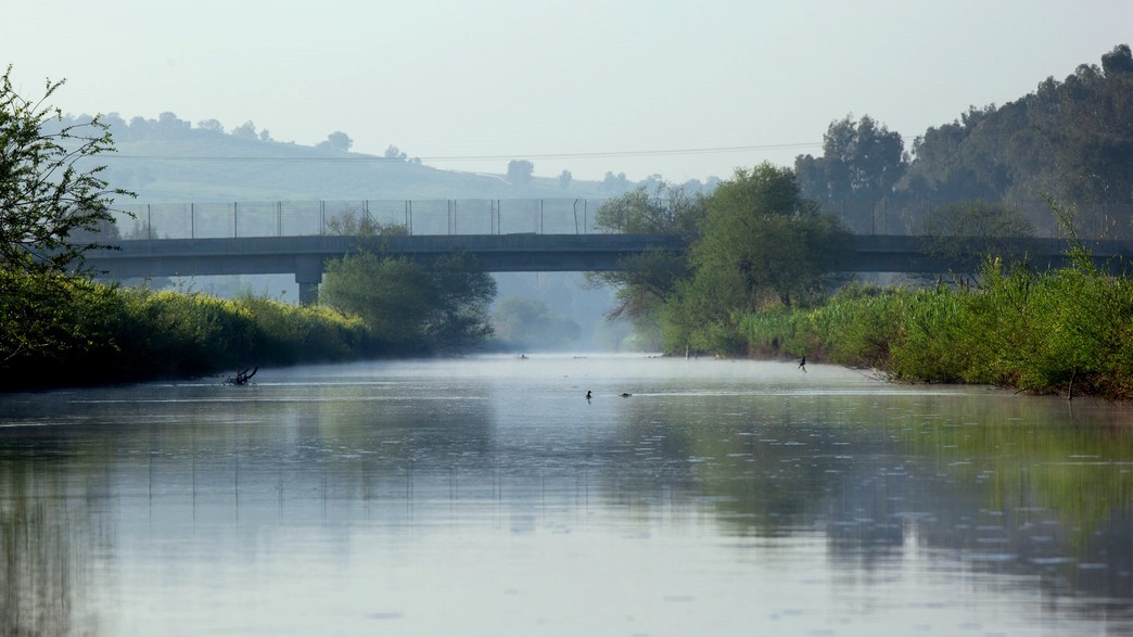 יסוד המעלה (צילום:  רונן טופלברג)