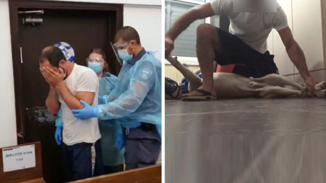 התעללות בכלב בבת ים