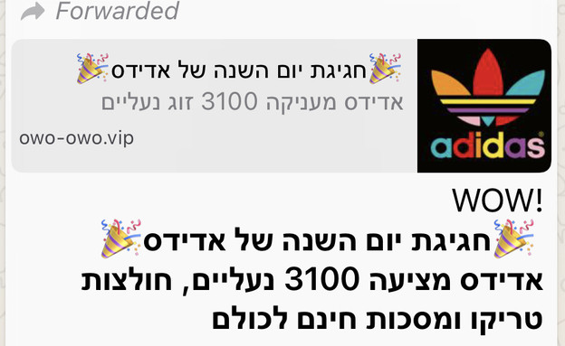 וירוס שמתחזה לאדידס