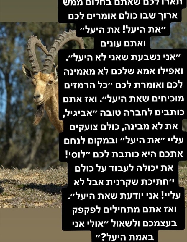 לוסי איוב מגיבה לשמועות שהיא היעל (צילום: מתוך חשבון האינסטגרם של לוסי איוב)