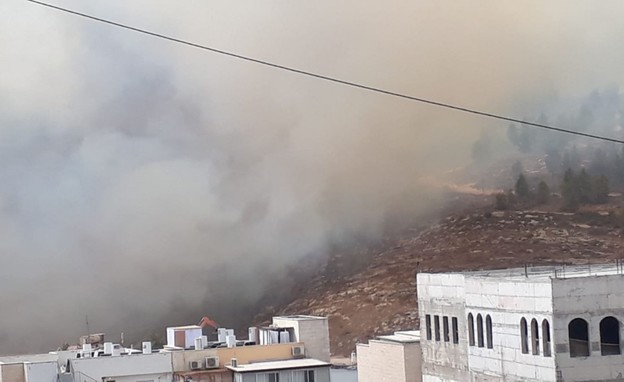 שרפה בכפר האורנים (צילום: אשר פניאל)